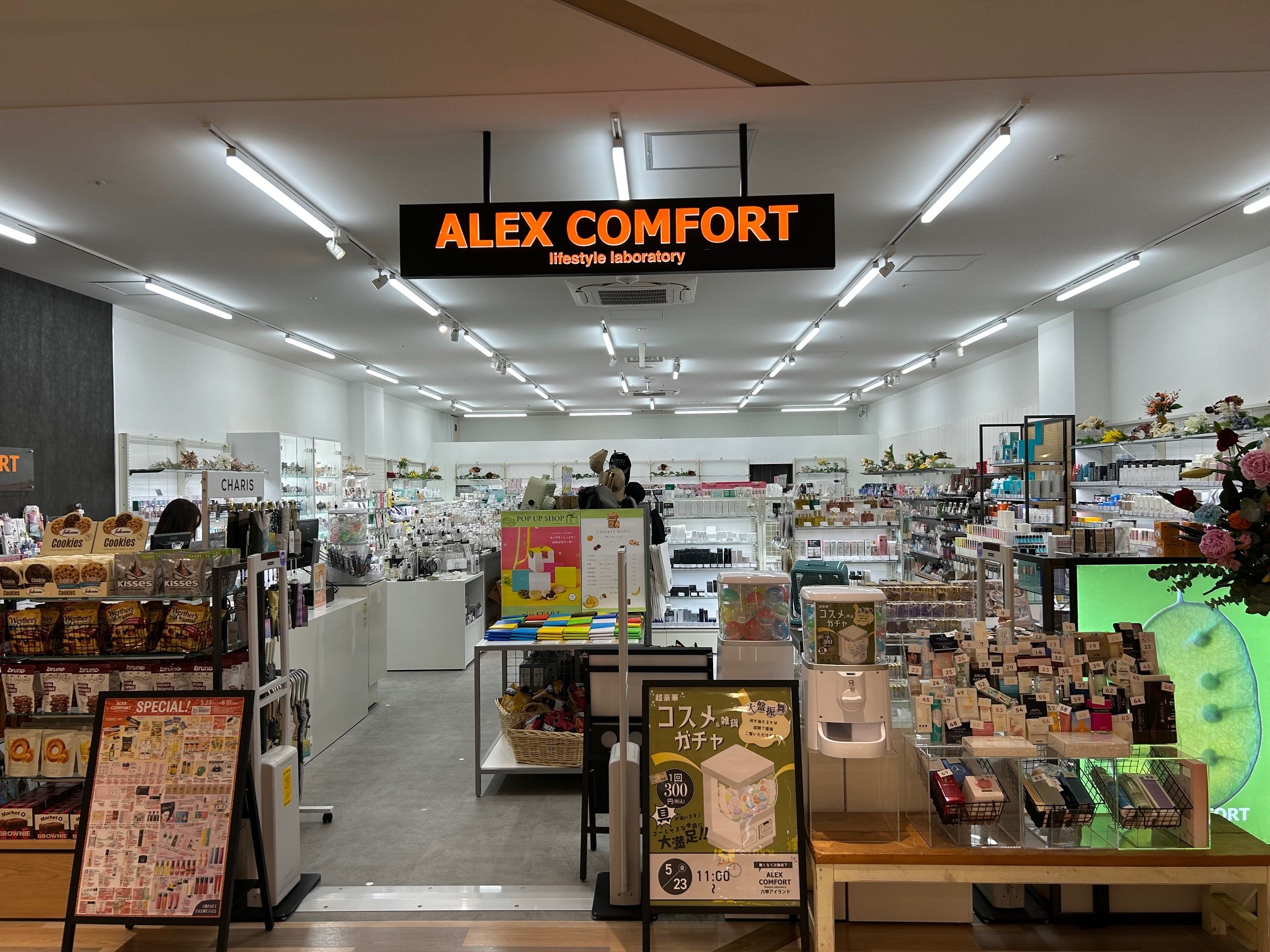 ALEX COMFORT カメイドクロック NEW OPEN‼